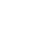 Skytomax Logo